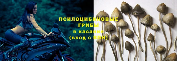 МДПВ Белоозёрский