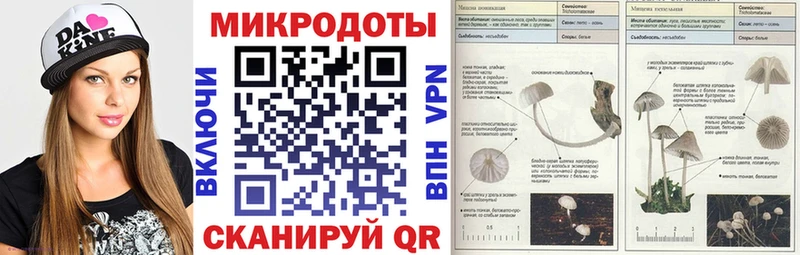 Купить закладки  Гудермес  Псилоцибиновые грибы мицелий 